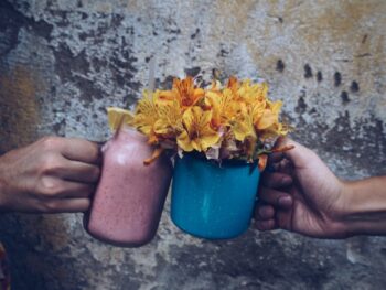 flowers in mugs
